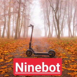 🛴 🇮🇹 Ninebot kick scooter italia 团体形象
