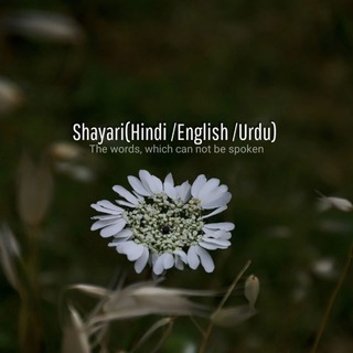 Shayari (Hindi/Urdu)✍❤️ Immagine del gruppo