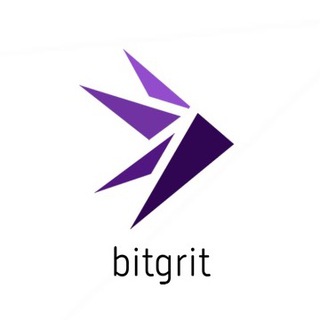 bitgrit Data Science Community 团体形象