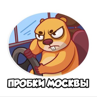 Пробки Москвы 团体形象
