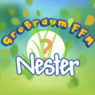 Nester Großraum FFM समूह छवि