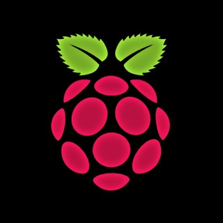Raspberry Pi [Ru] समूह छवि