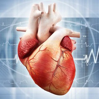 THE SYNAPSUS Cardiology / Кардиология gambar kelompok