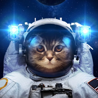 SafeKitties group image