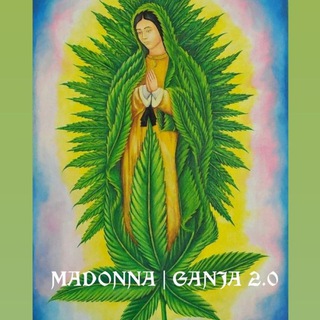MADONNA | GANJA 2.0 ⚠️🤮TUTTI IN QUARANTENA🤮⚠️ group image