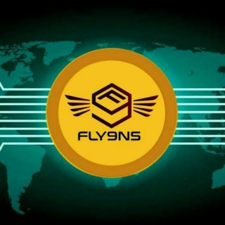 Fly9ns_INVESTORS group image