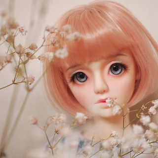 娃娃世界中文主流/不限娃種 ball jointed doll group image