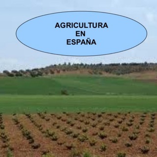🥇 Agricultura Española 🇪🇸 group image