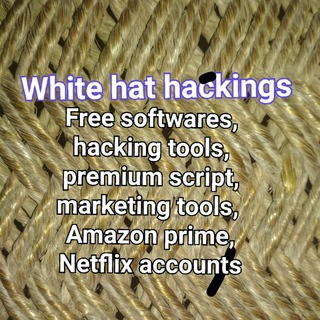 Whitehat hackers imagem de grupo