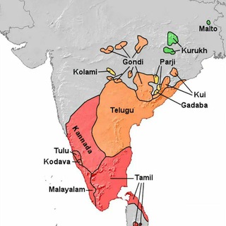 Dravidian Languages Group group image
